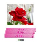 Aura Original Incense Sticks – Natural Hand-Rolled Fragrance (15 Sticks Pack)