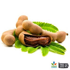 Organic Seedless Tamarind Paste