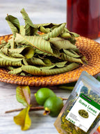 Organic Dried Guava Leaves, Natural Herbal Tea