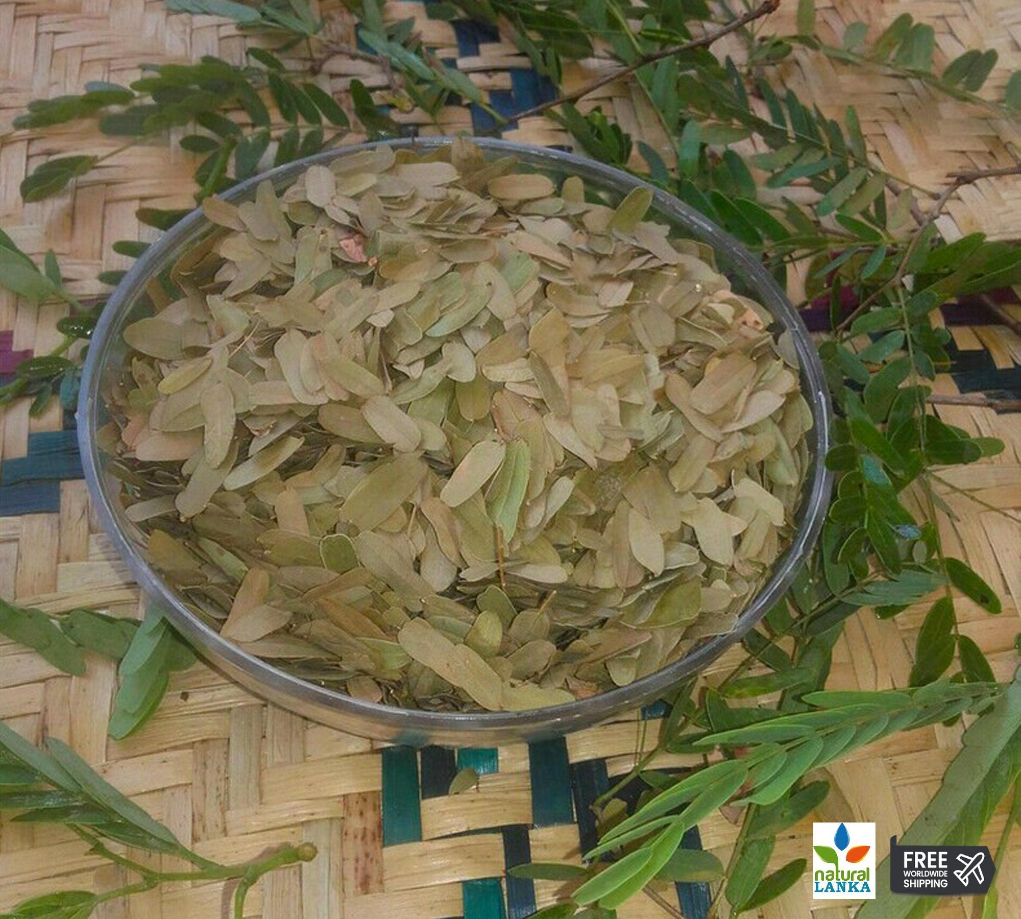 Organic Natural Tamarind Leaves | Tamarind Whole Leaf 100% Pure Ceylon Herbal