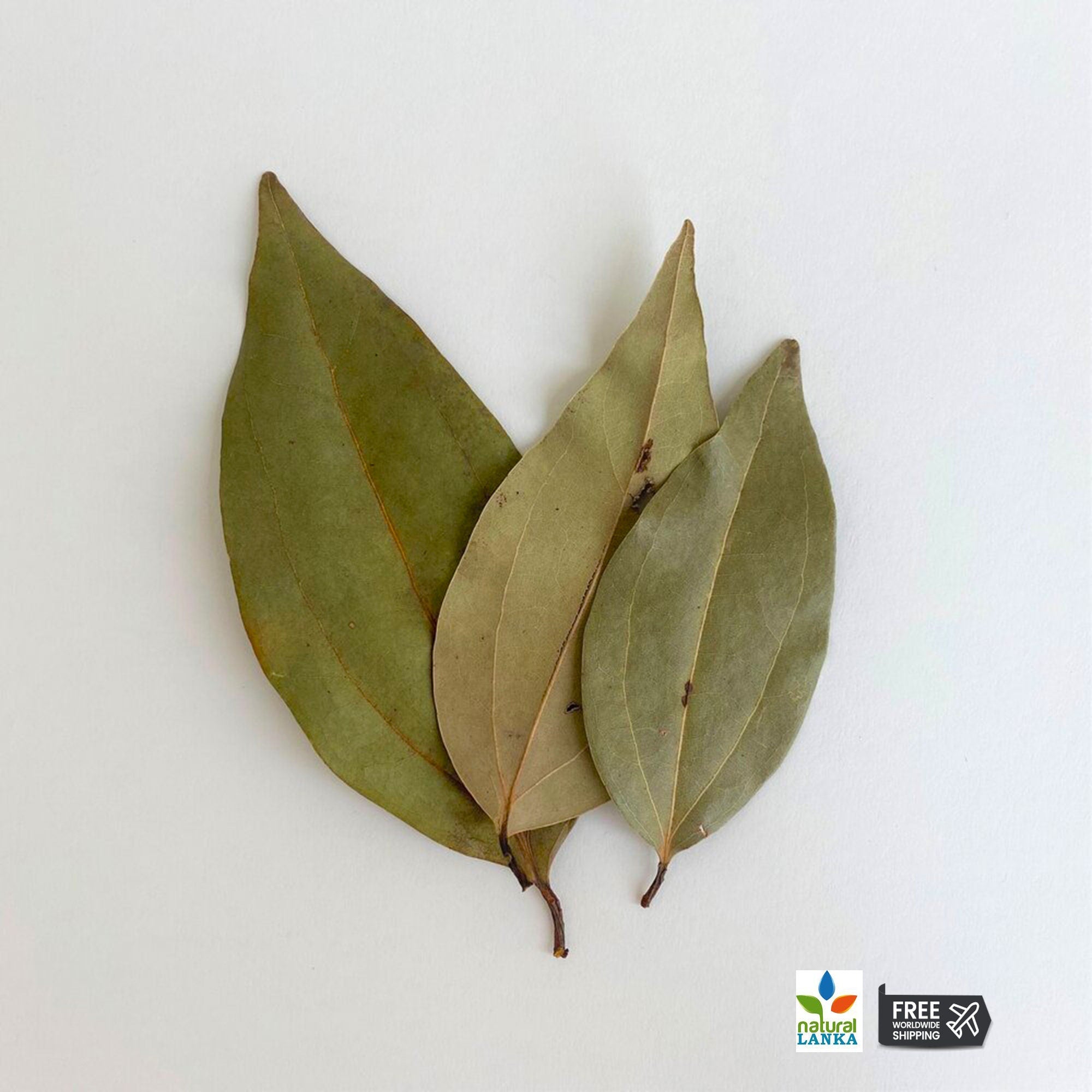 Ceylon Cinnamon Leaves
