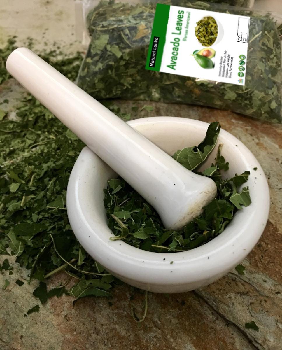 Organic Dried Avocado Leaves | Hojas De Aguacate for tea | Cut and Shifted | Persea americana