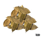 Crushed Soursop Leaves (Graviola)