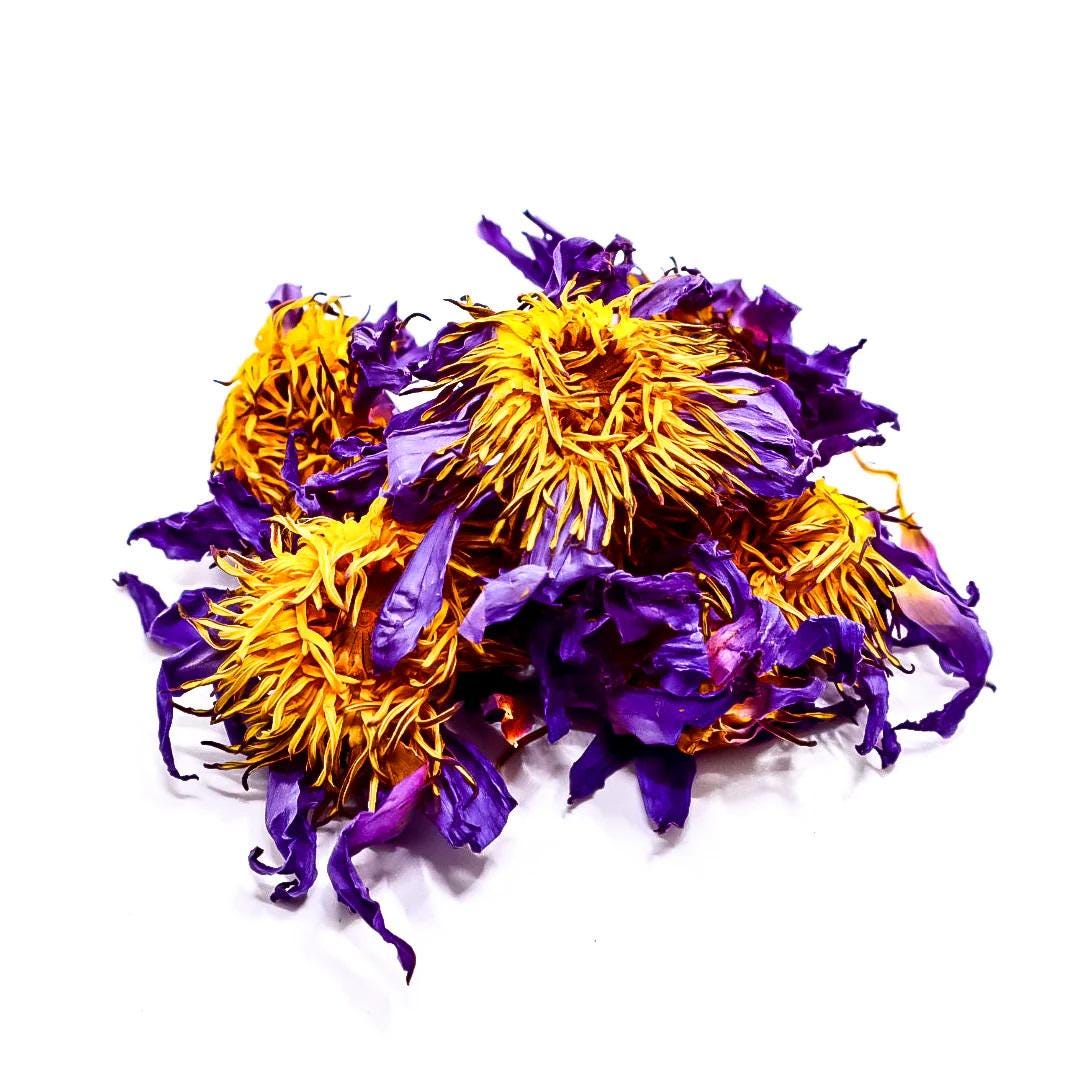 100% Premium & Organic Blue Lotus Flowers | Dried Egyptian Nymphaea caerulea | Blue Tea | Herbal Tea