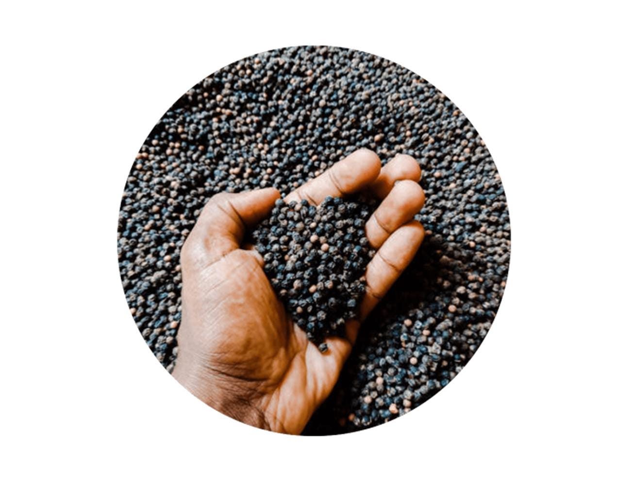 Black Pepper Whole Peppercorns