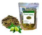 Organic Dried Guava Leaves, Natural Herbal Tea