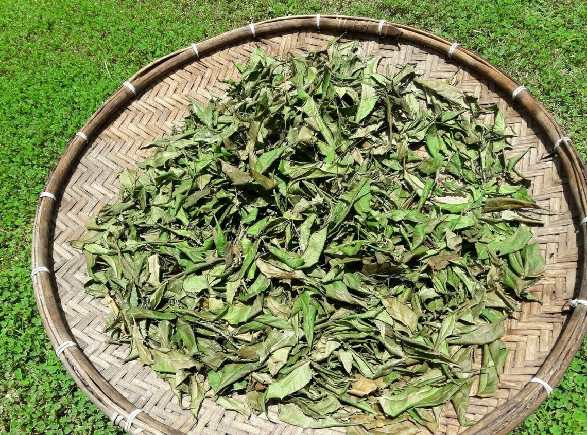 Organic Neem Leaf Powder – Azadirachta indica Herbal Tea, Culinary & Wellness Supplement