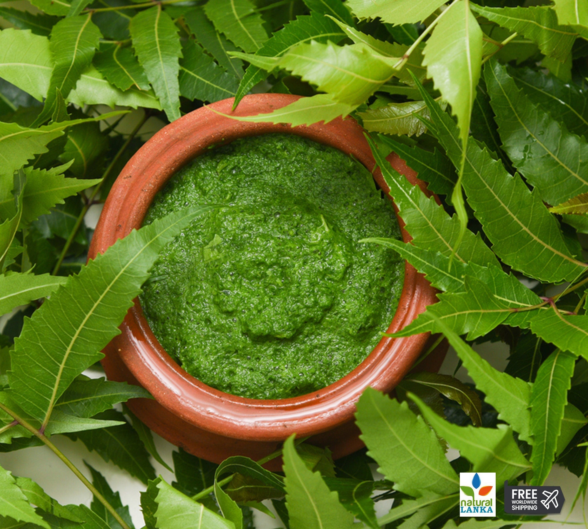 Organic Neem Leaf Powder – Azadirachta indica Herbal Tea, Culinary & Wellness Supplement