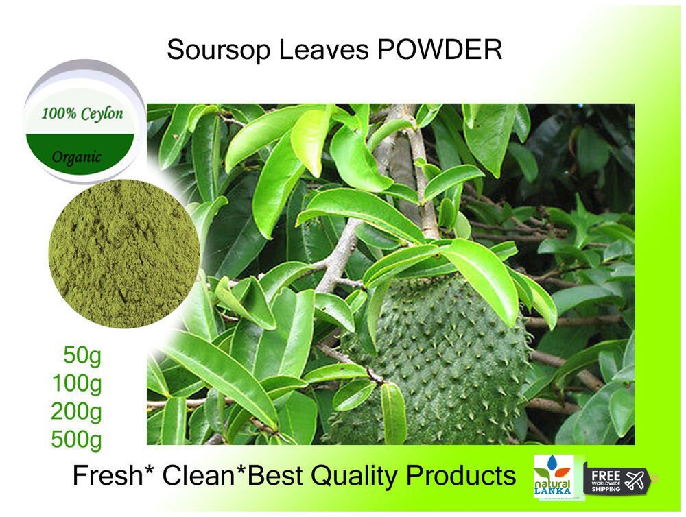 Soursop Leaf Powder | Graviola Tea | Annona Muricata