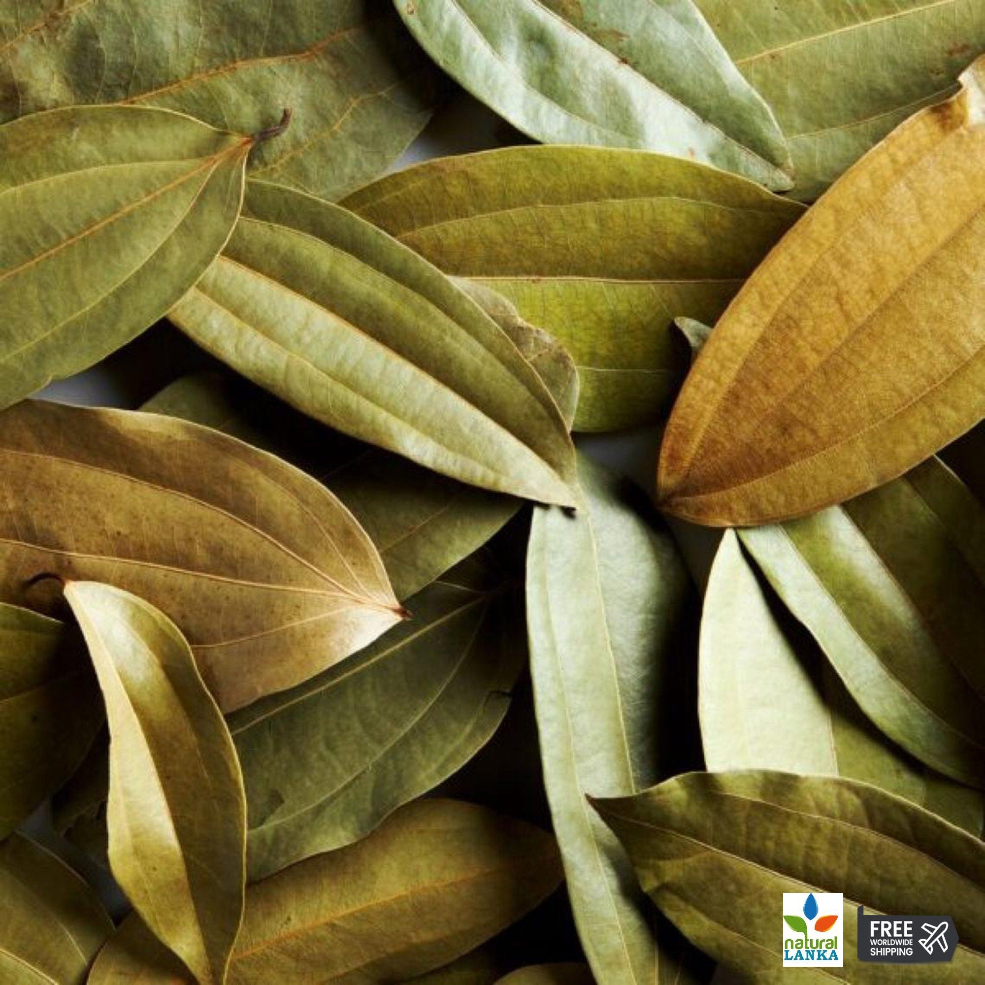Ceylon Cinnamon Leaves