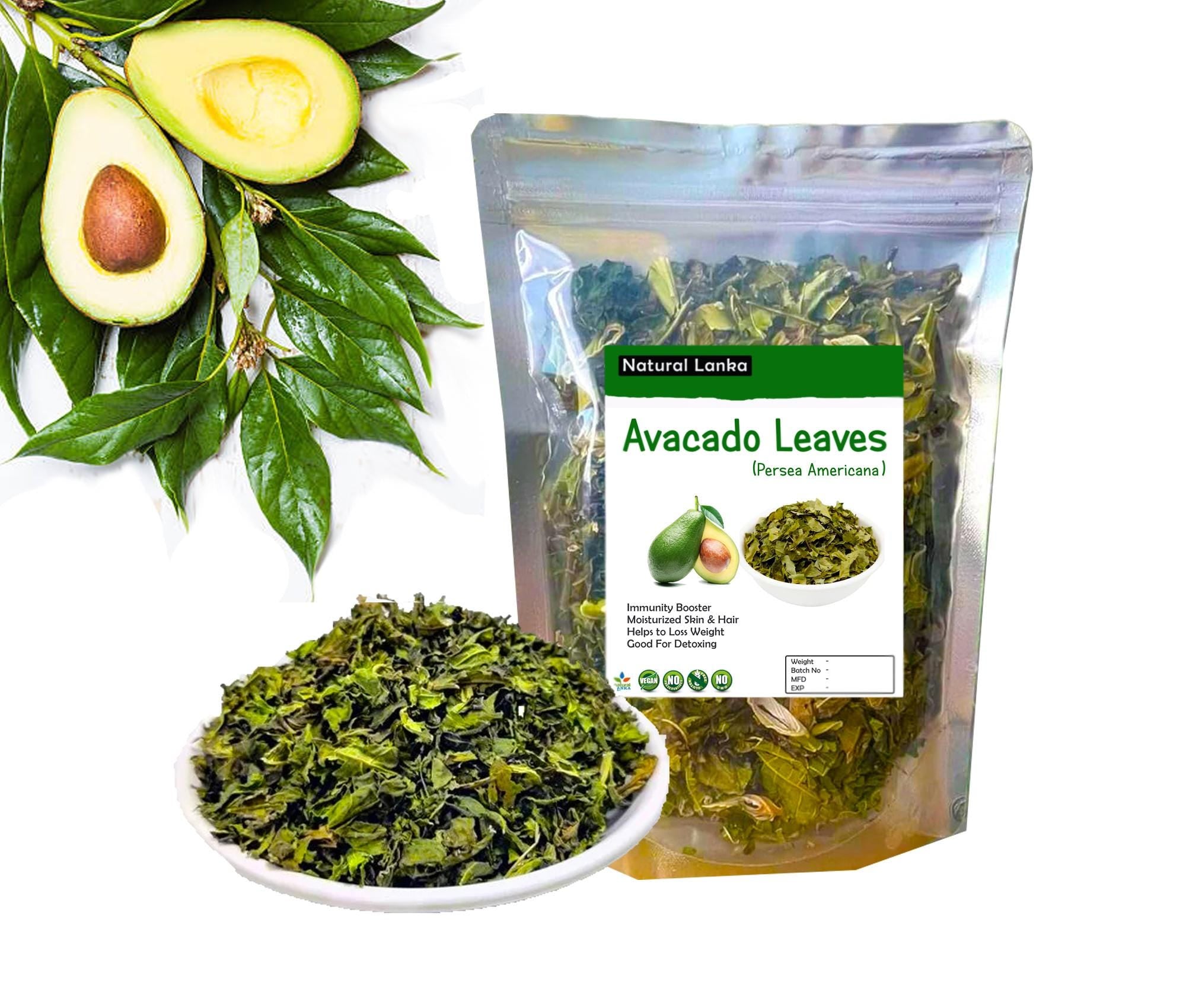 Organic Dried Avocado Leaves | Hojas De Aguacate for tea | Cut and Shifted | Persea americana