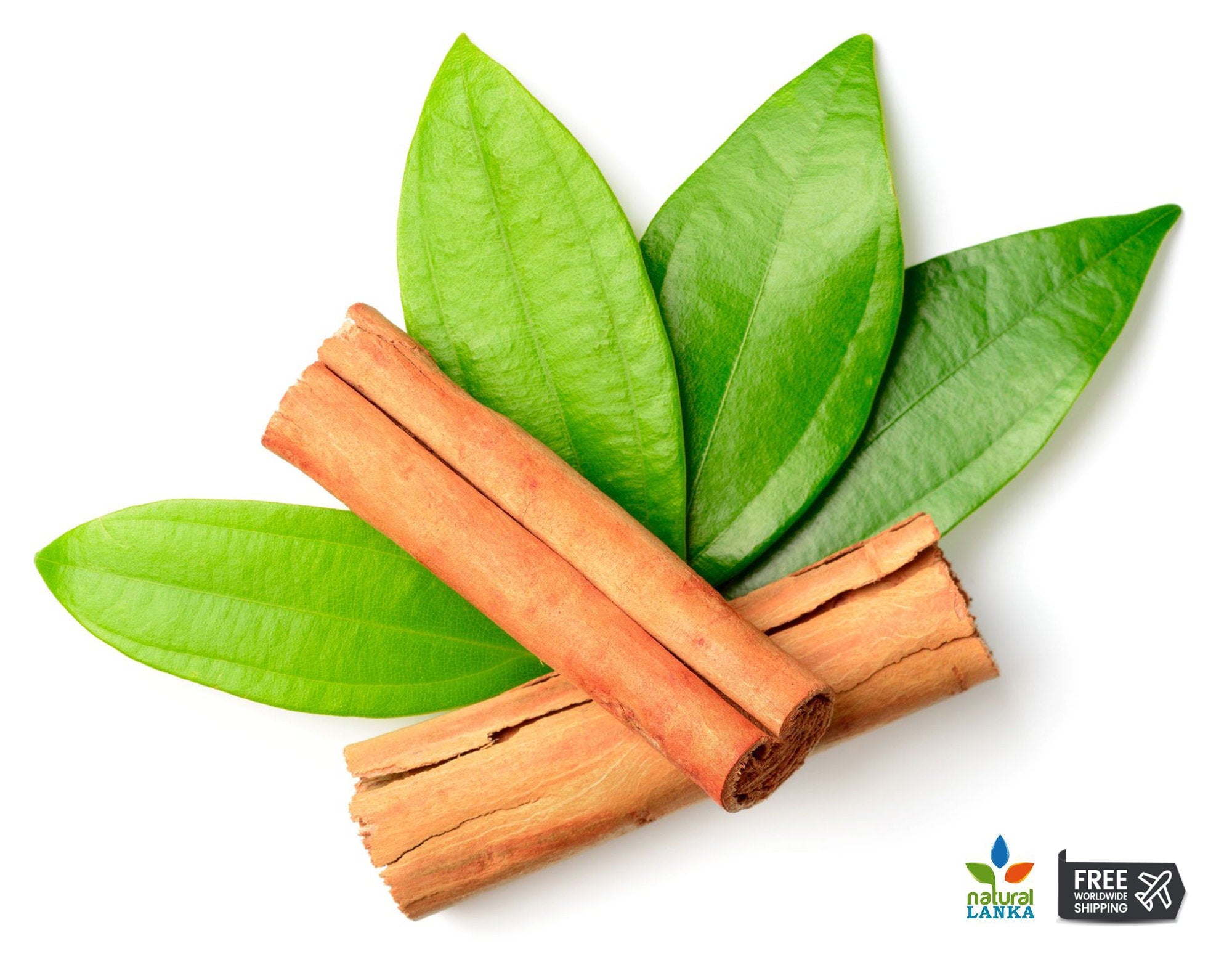 Ceylon Cinnamon Leaves