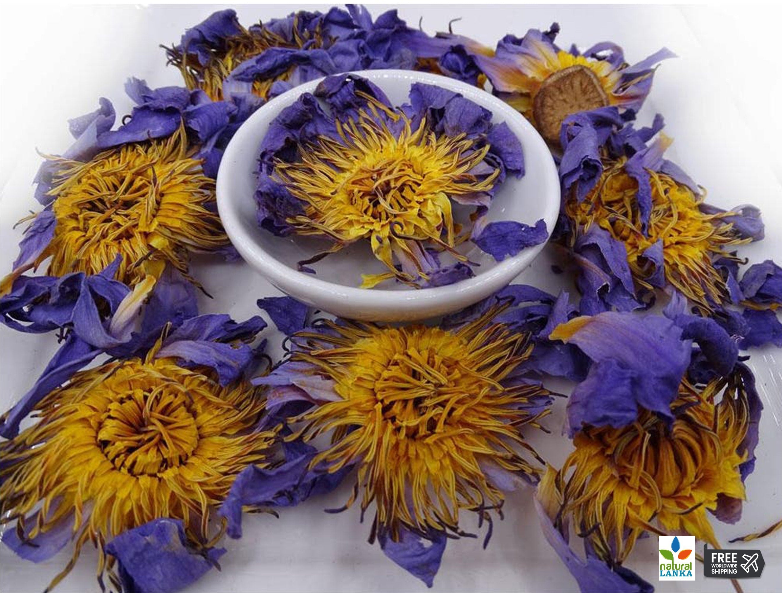 Pre-Ground Blue Lotus Flower