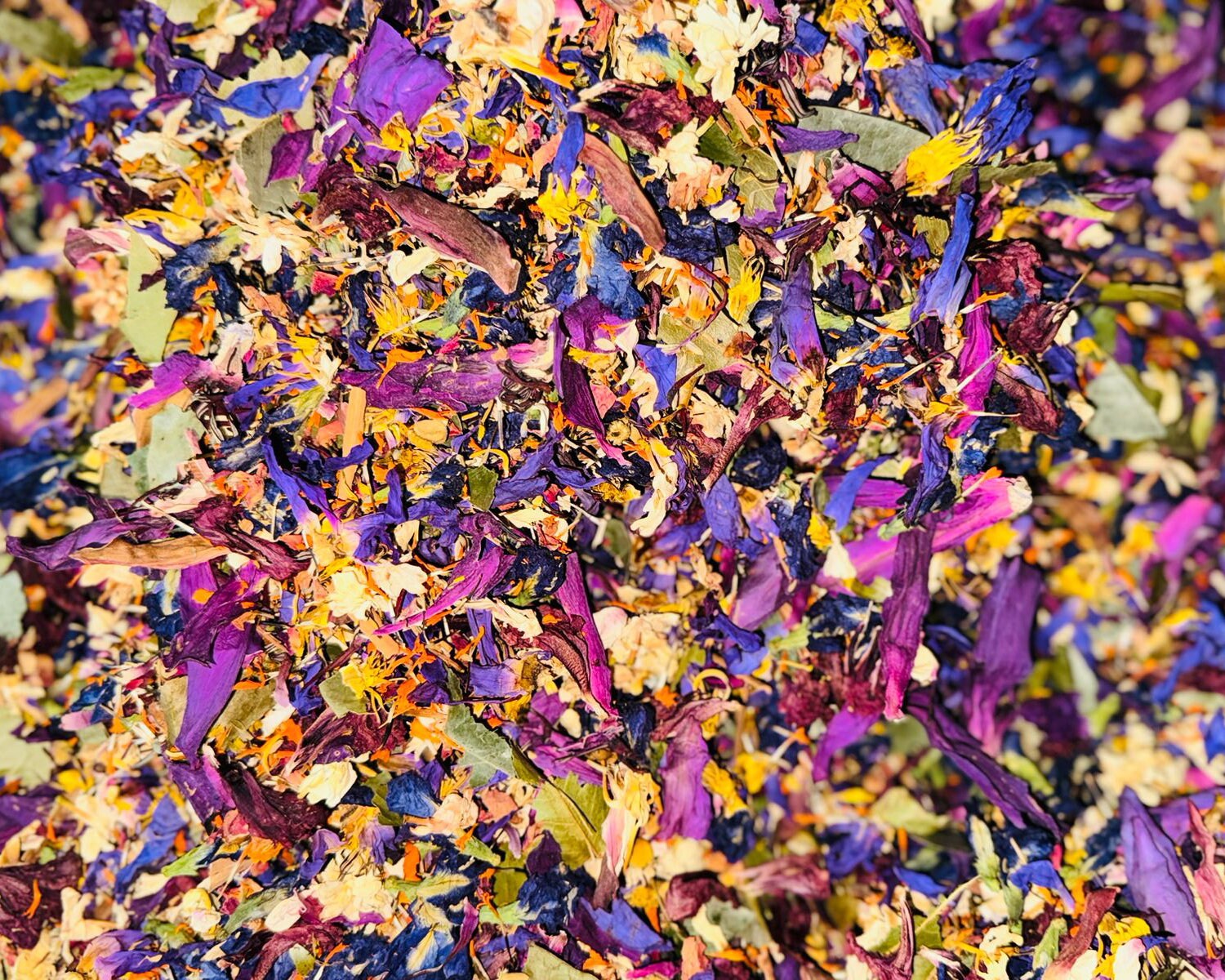 Lucid Dream Tea – 13 Herbs