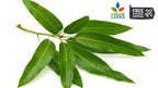 Mango Leaf Powder