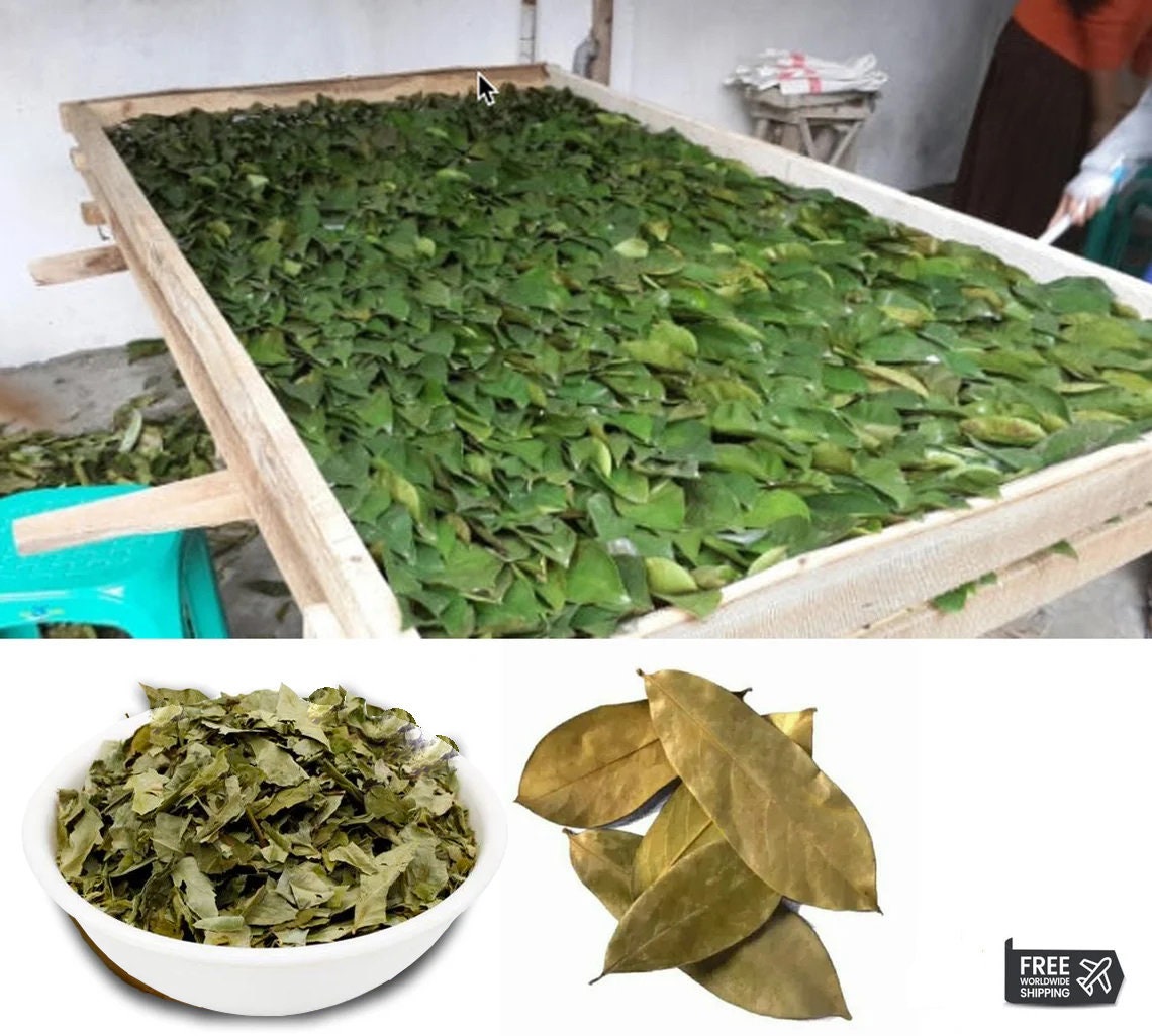 Crushed Soursop Leaves (Graviola)
