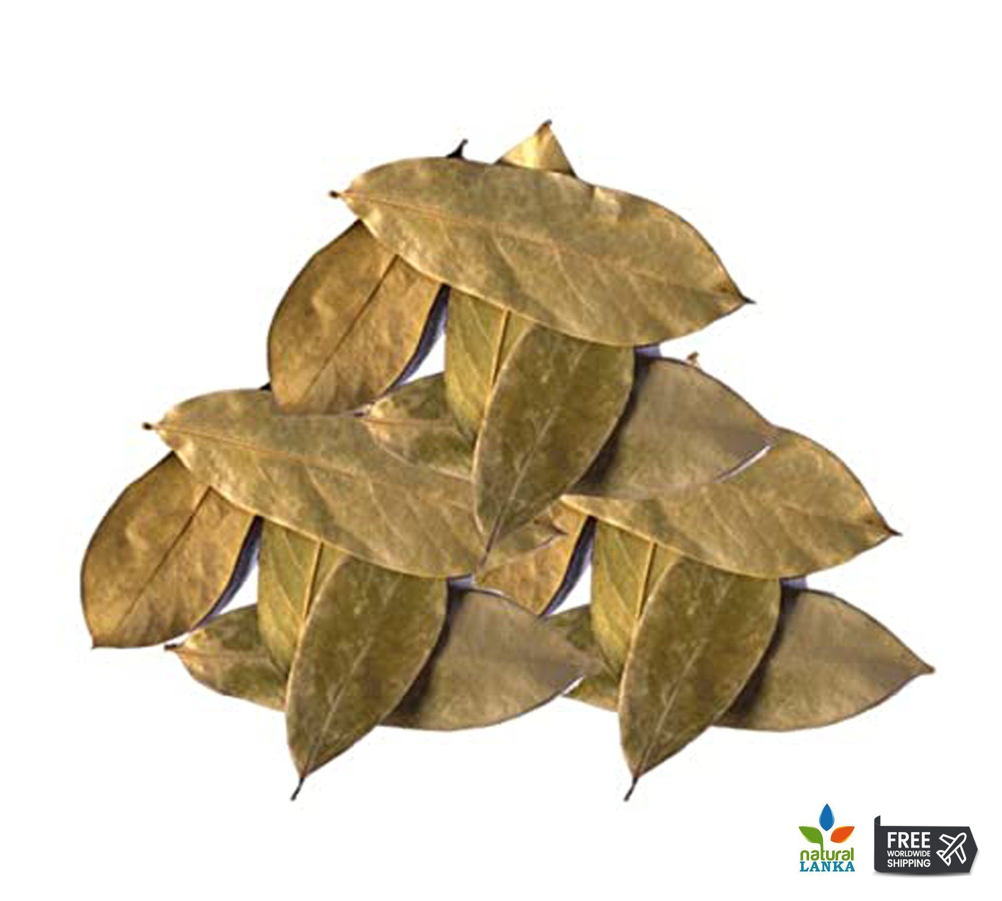 100% Organic Soursop Leaves – Graviola (Annona Muricata) Guanabana & Guayabano Herbal Tea