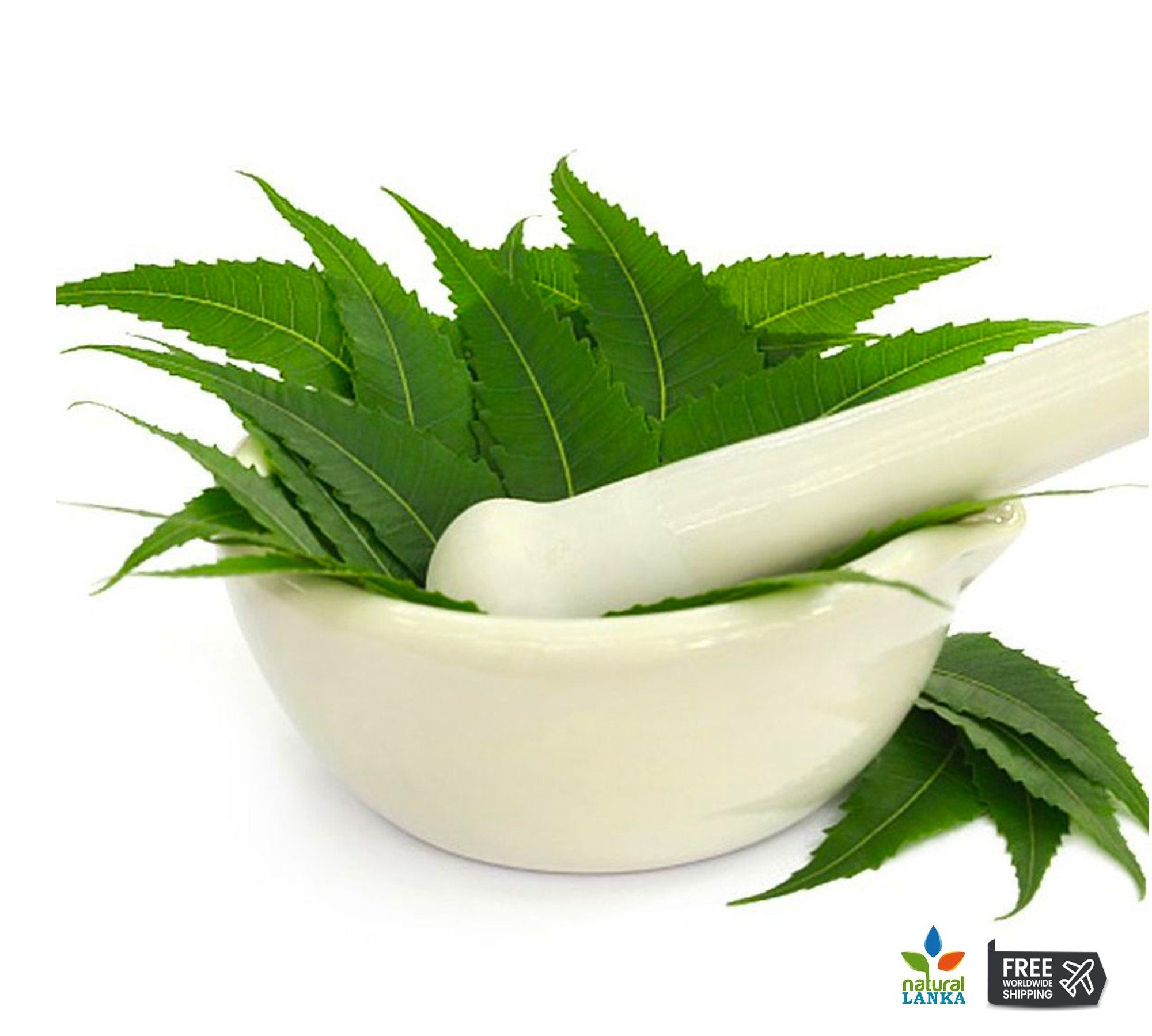 Organic Neem Leaf Powder – Azadirachta indica Herbal Tea, Culinary & Wellness Supplement