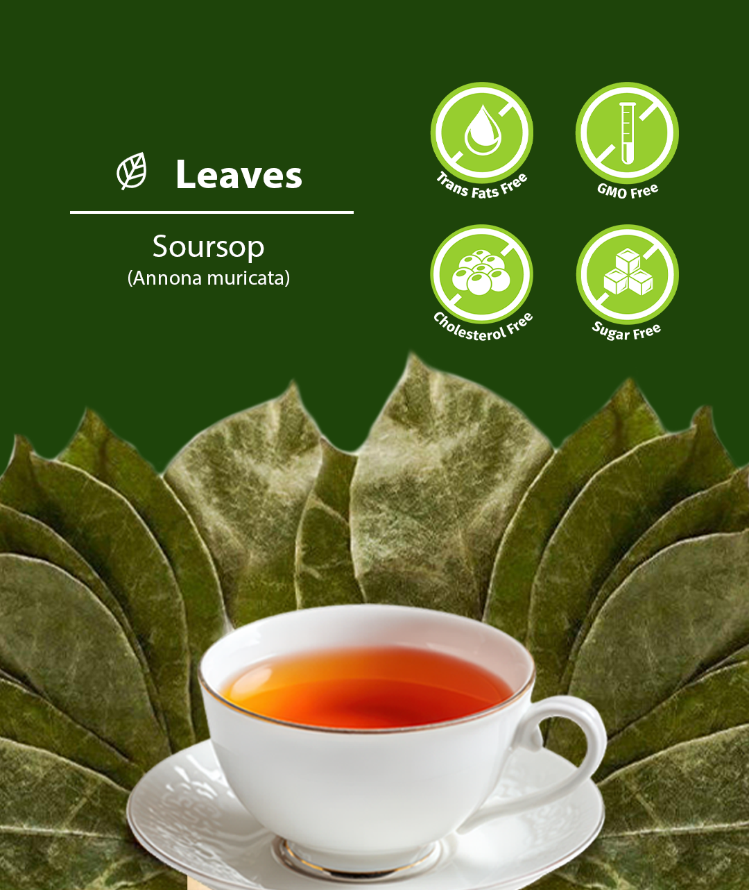 Soursop Leaves Graviola