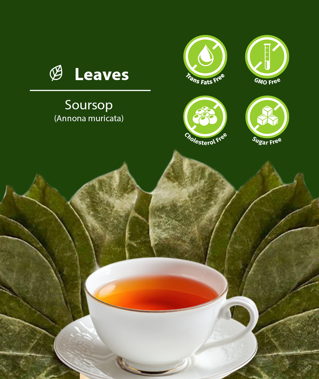 Dried Soursop Leaves (Graviola)