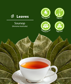 Dried Soursop Leaves (Graviola)