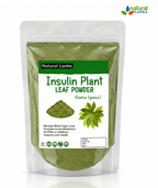 Organic Insulin Plant Leaves Powder