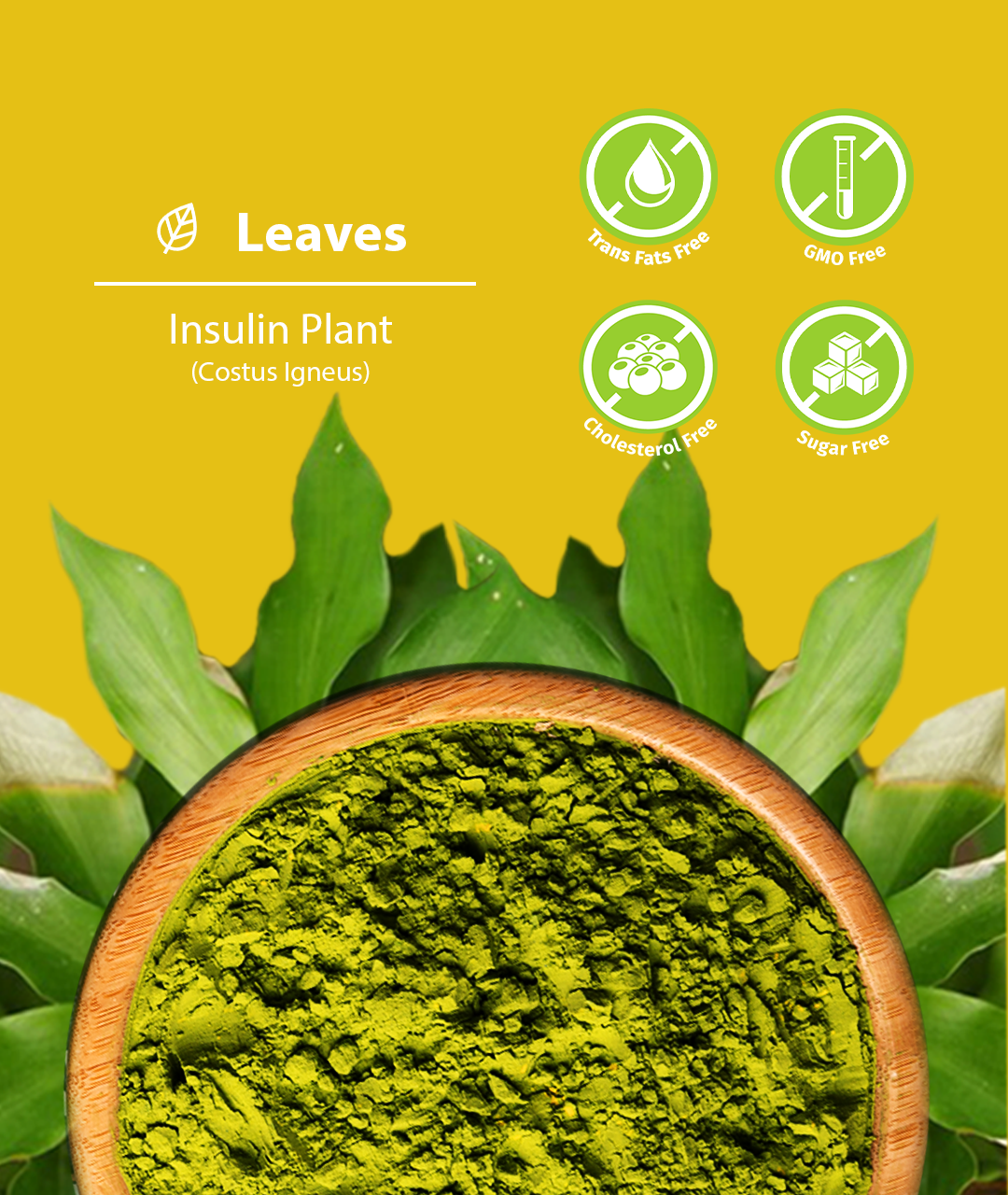 Organic Insulin Plant Leaves Powder