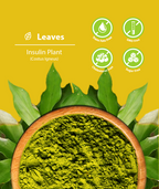 Organic Insulin Plant Leaves Powder