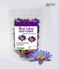 Sri lankan Blue Lotus Flowers