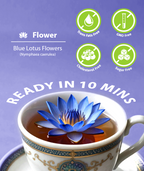 Sri lankan Blue Lotus Flowers