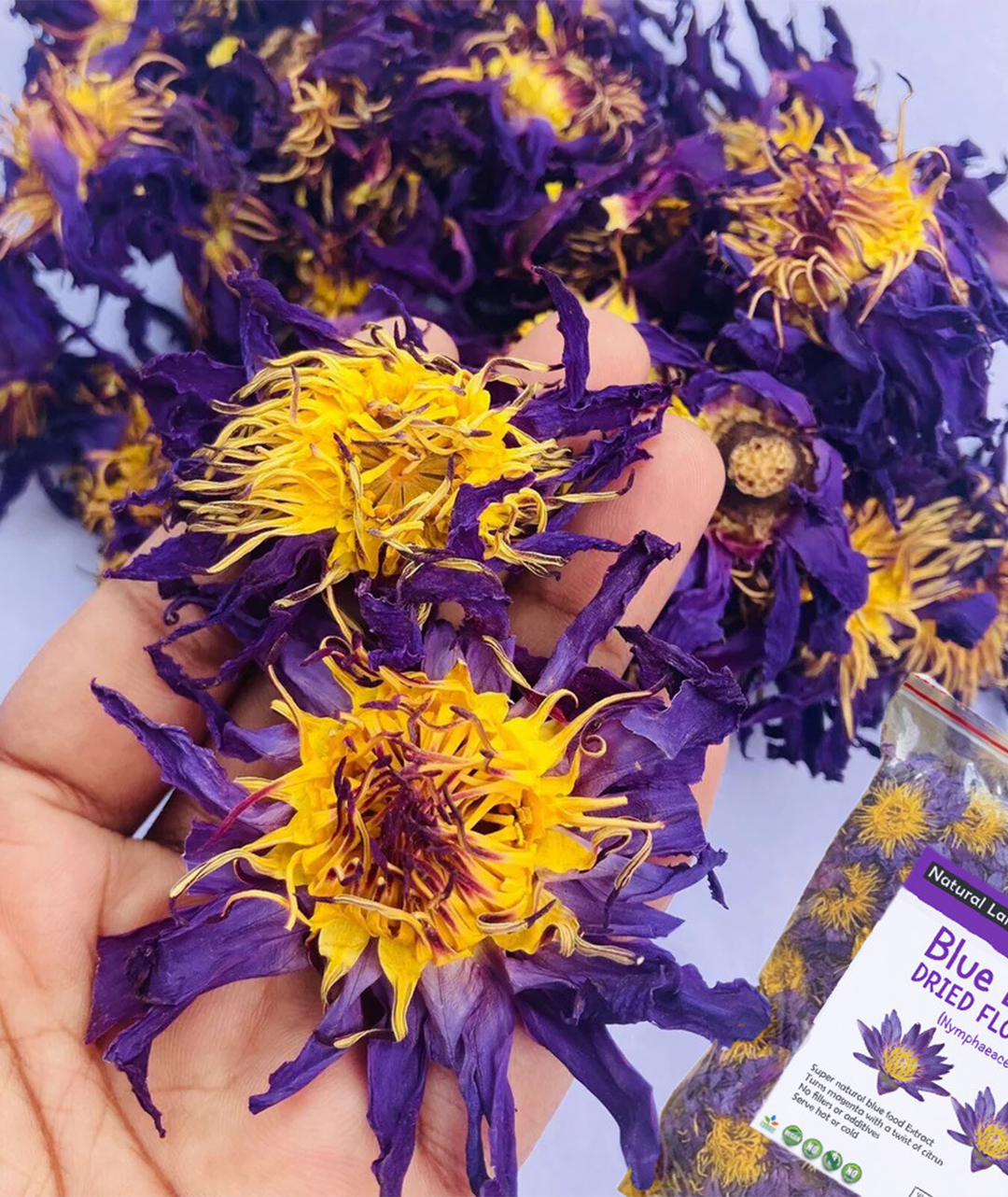 Sri lankan Blue Lotus Flowers