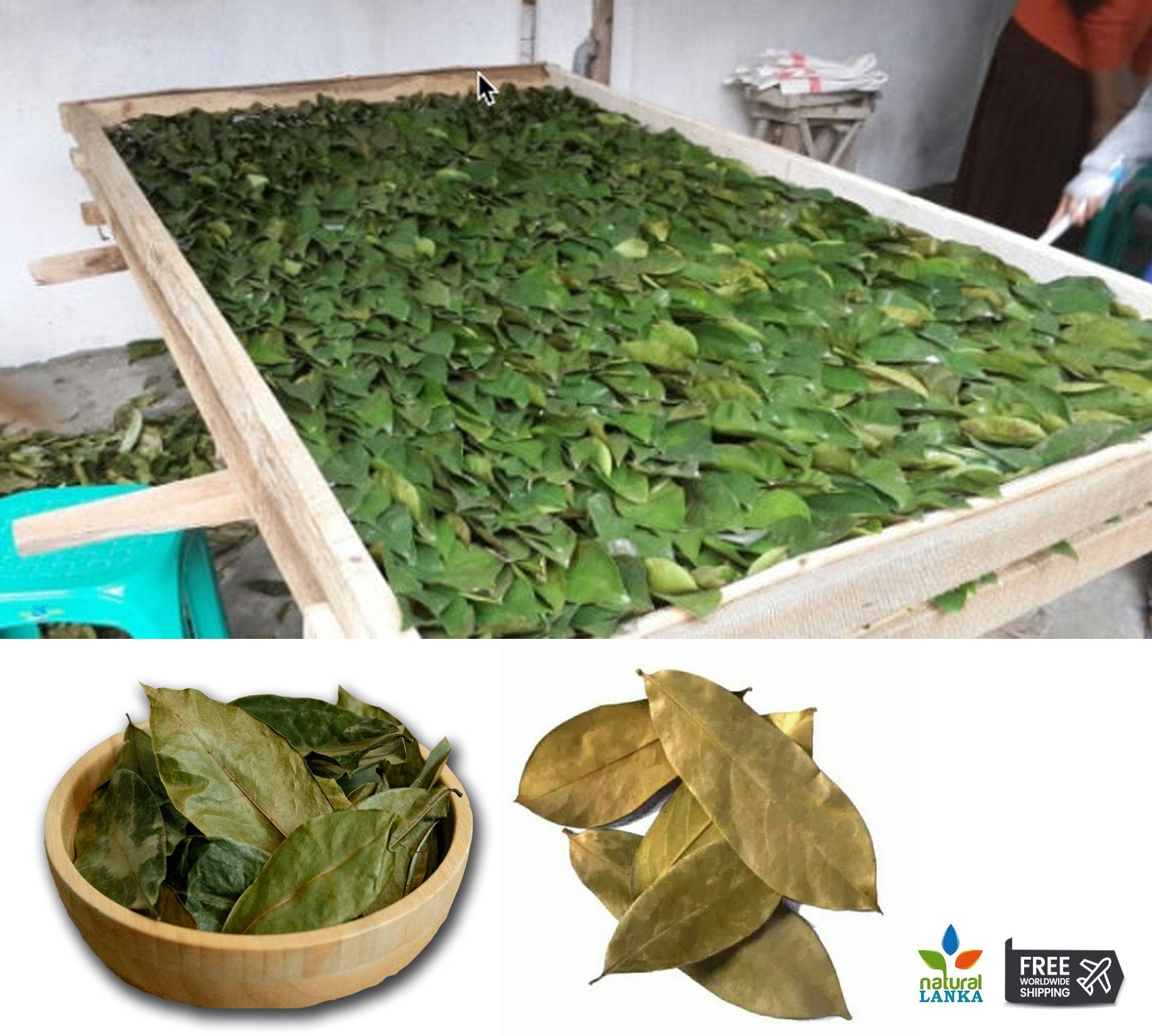 100% Organic Soursop Leaves – Graviola (Annona Muricata) Guanabana & Guayabano Herbal Tea