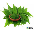 Organic Neem Leaf Powder – Azadirachta indica Herbal Tea, Culinary & Wellness Supplement