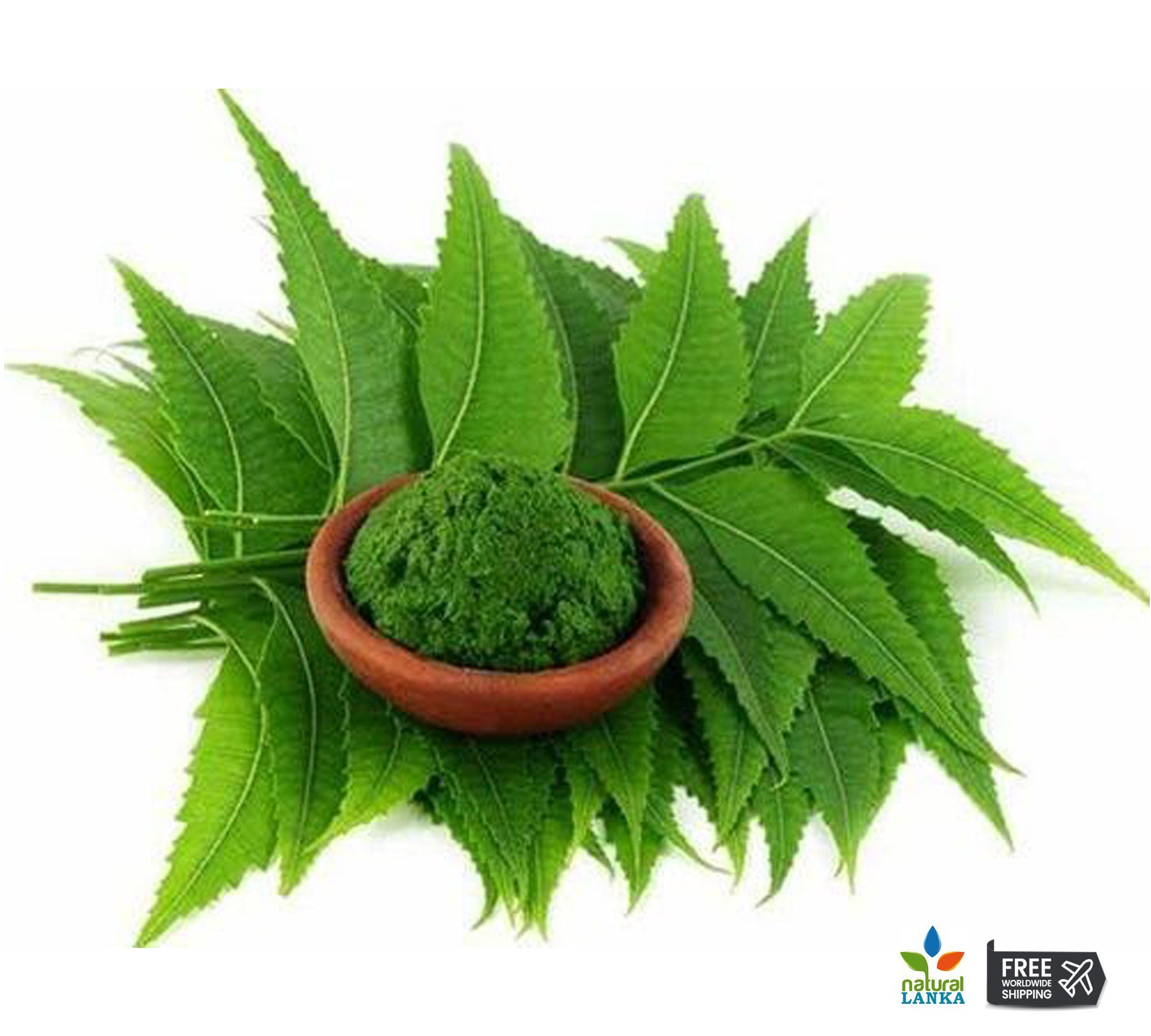 Organic Neem Leaf Powder – Azadirachta indica Herbal Tea, Culinary & Wellness Supplement