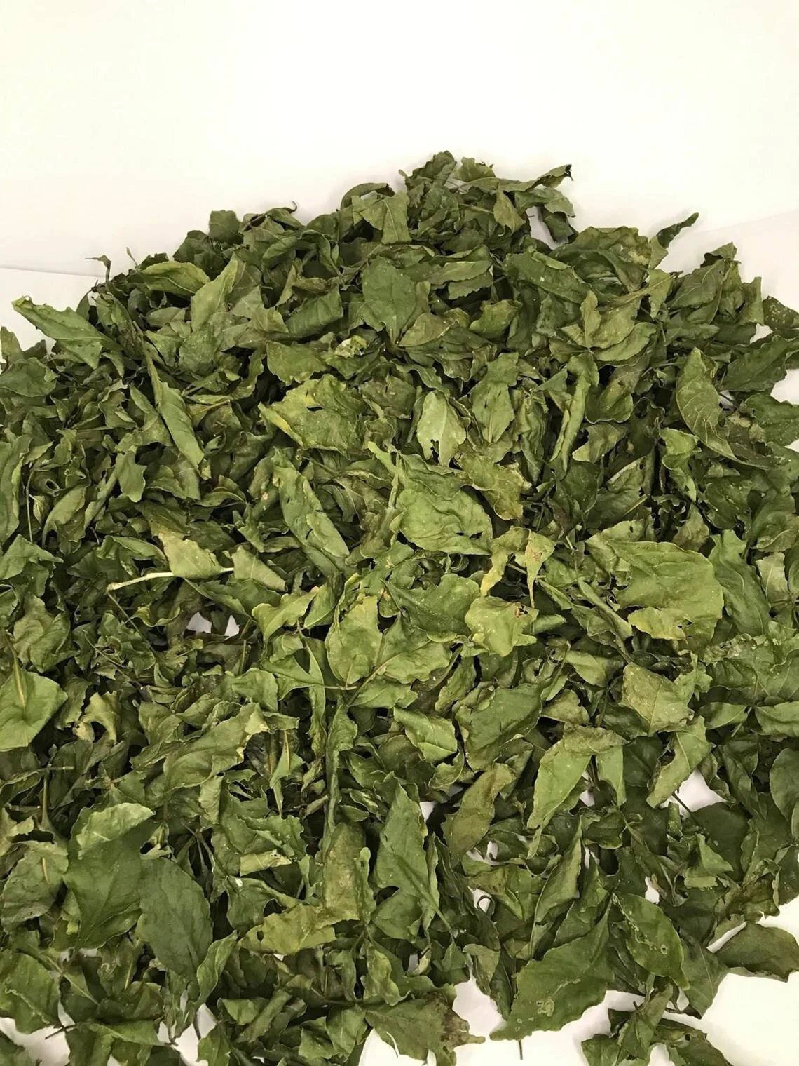 Crushed Soursop Leaves (Graviola)