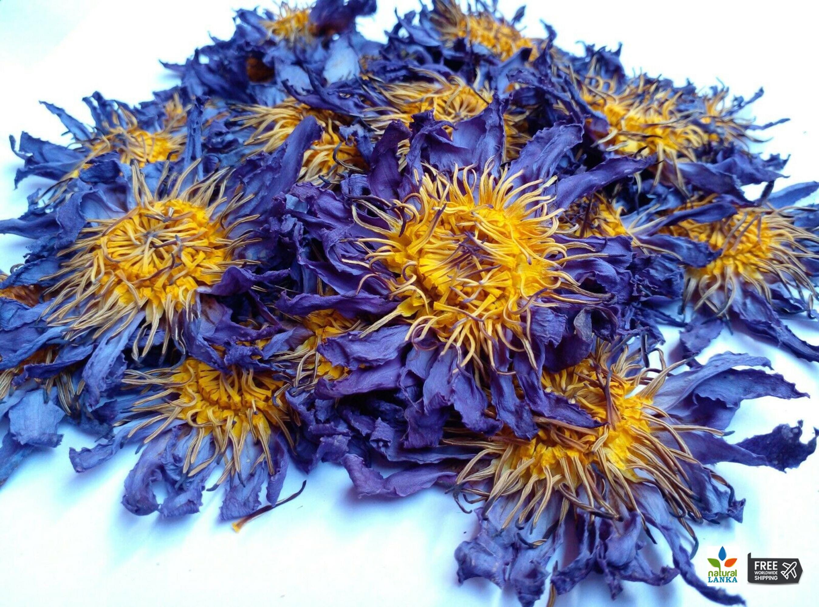 100% Organic Egyptian Blue Lotus Whole Flowers • Nymphaea caerulea • No Additives, Pesticides, or Chemicals • Premium Quality Blue Tea