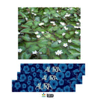 Aura Original Incense Sticks – Natural Hand-Rolled Fragrance (15 Sticks Pack)