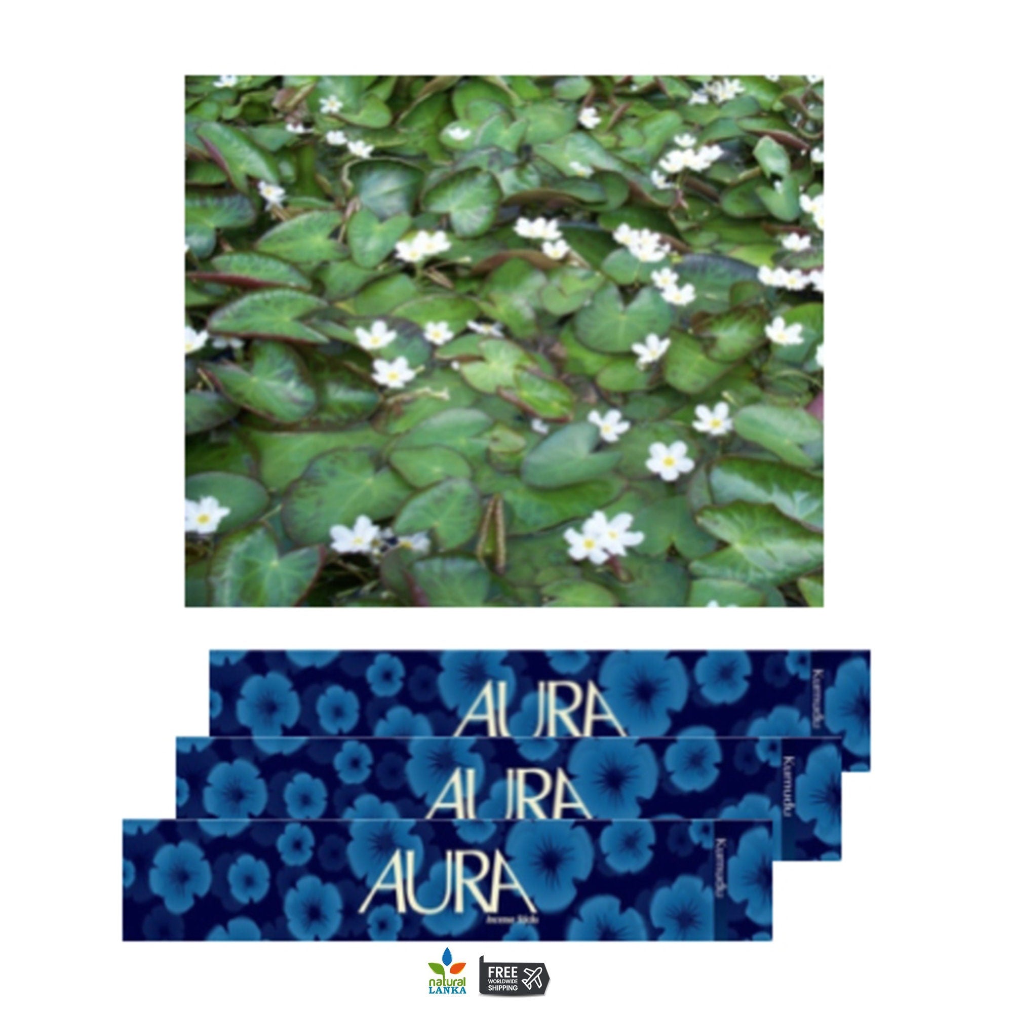 Aura Original Incense Sticks – Natural Hand-Rolled Fragrance (15 Sticks Pack)