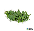 Organic Neem Leaf Powder – Azadirachta indica Herbal Tea, Culinary & Wellness Supplement