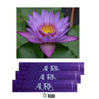 Aura Original Incense Sticks – Natural Hand-Rolled Fragrance (15 Sticks Pack)