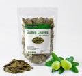 Organic Dried Guava Leaves, Natural Herbal Tea
