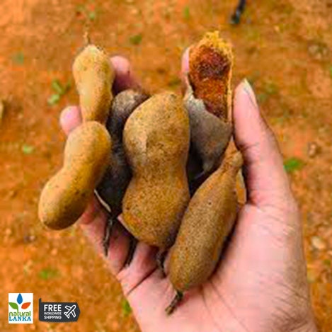 Organic Seedless Tamarind Paste