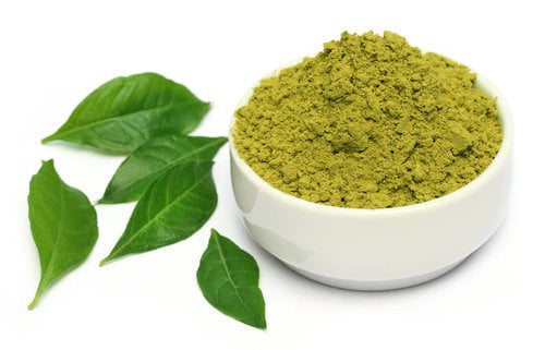 Fresh Dried Curry Leaves Powder