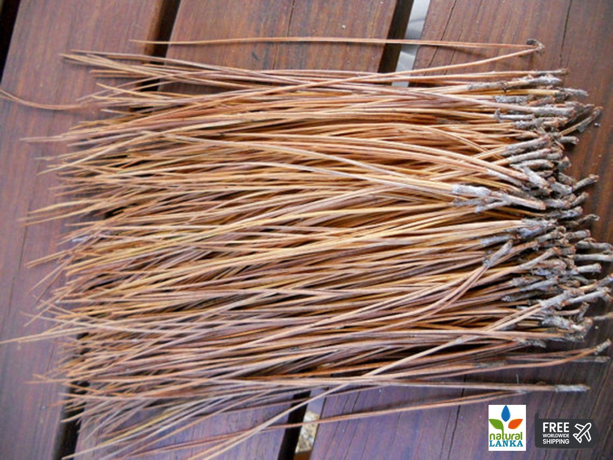 Long Leaf Pine Needles