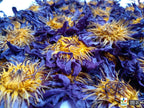 Blue Lotus Flowers  – Crushed