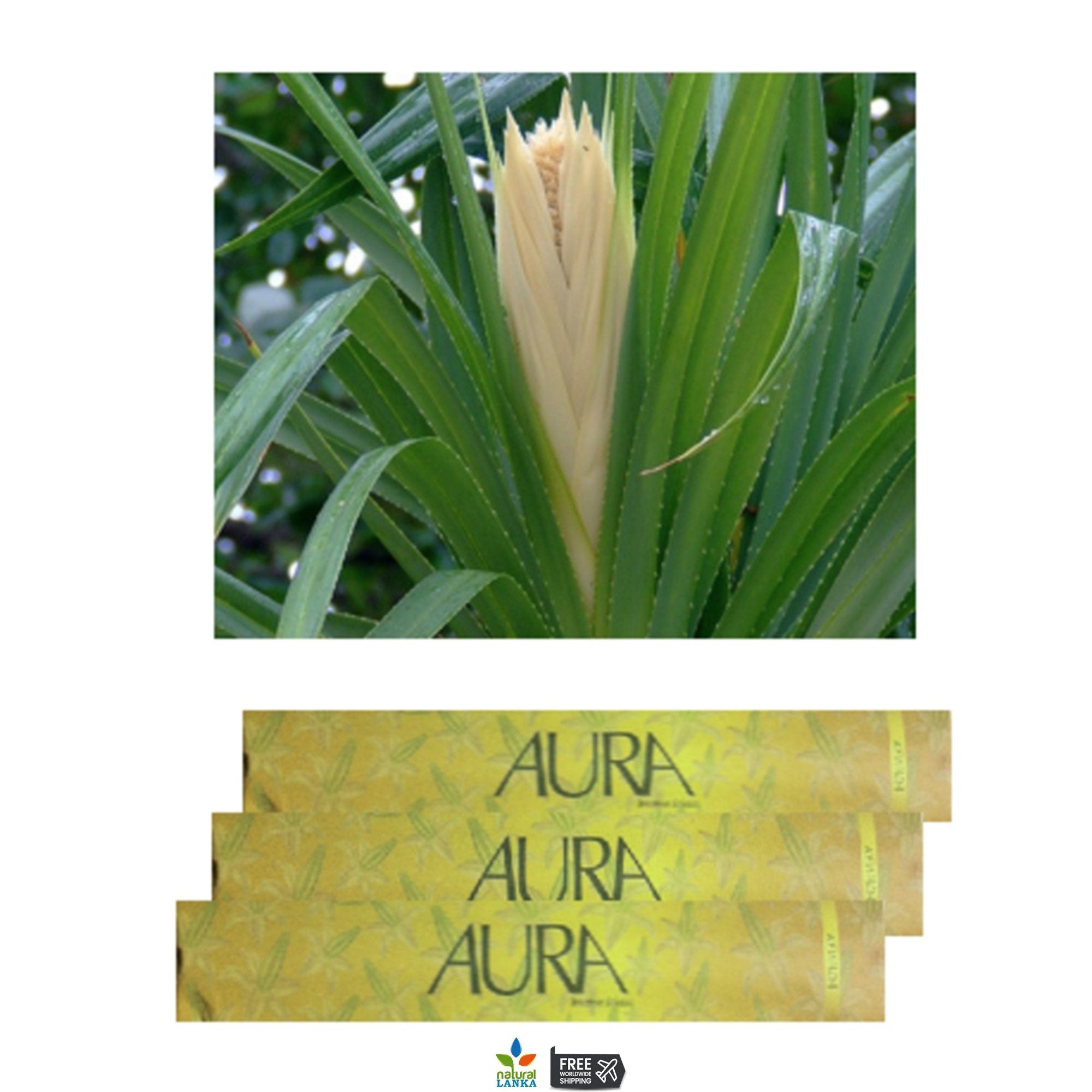 Aura Incense Sticks | Sri Lankan Hand-Rolled, Natural Scents (15 Sticks)