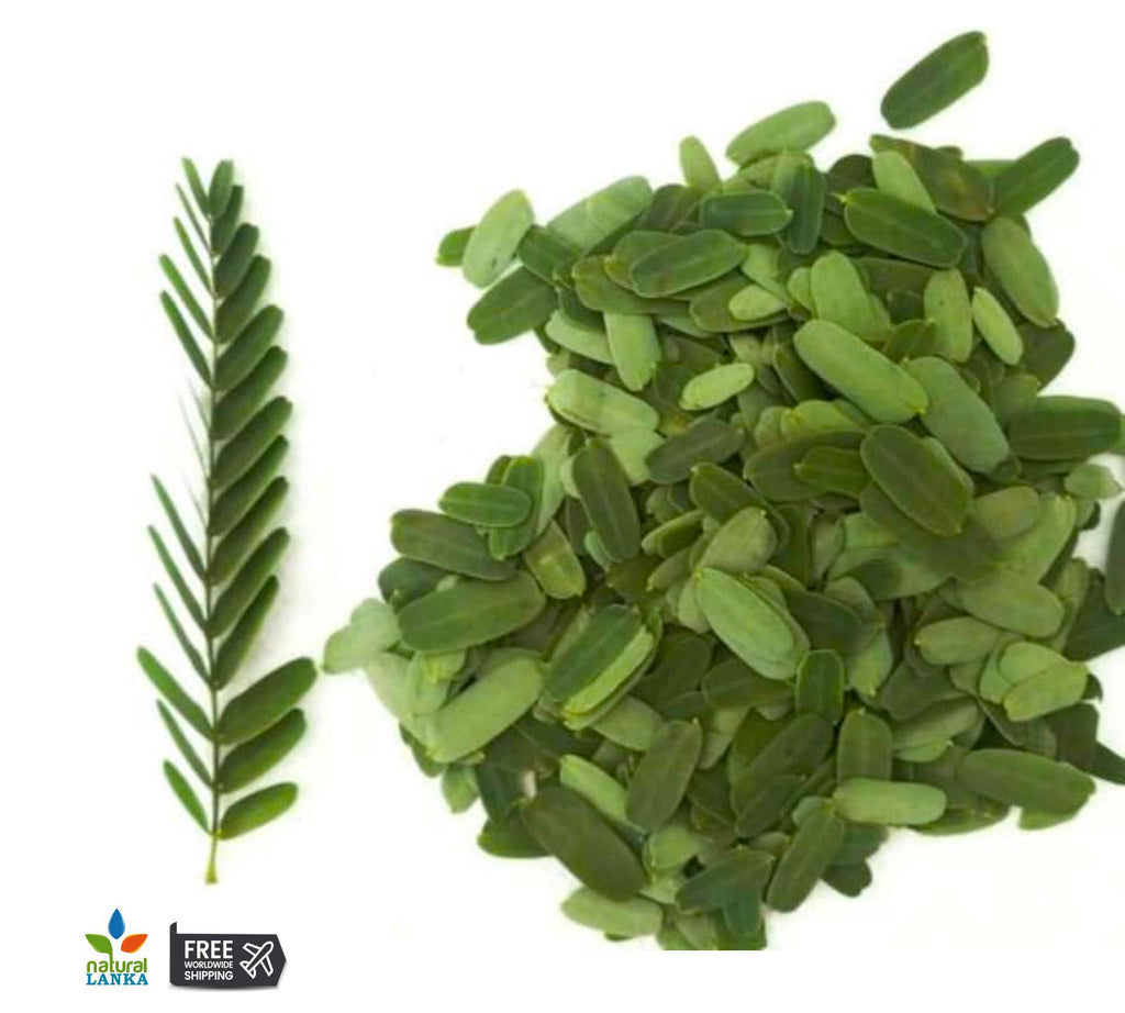Organic Natural Tamarind Leaves | Tamarind Whole Leaf 100% Pure Ceylon Herbal