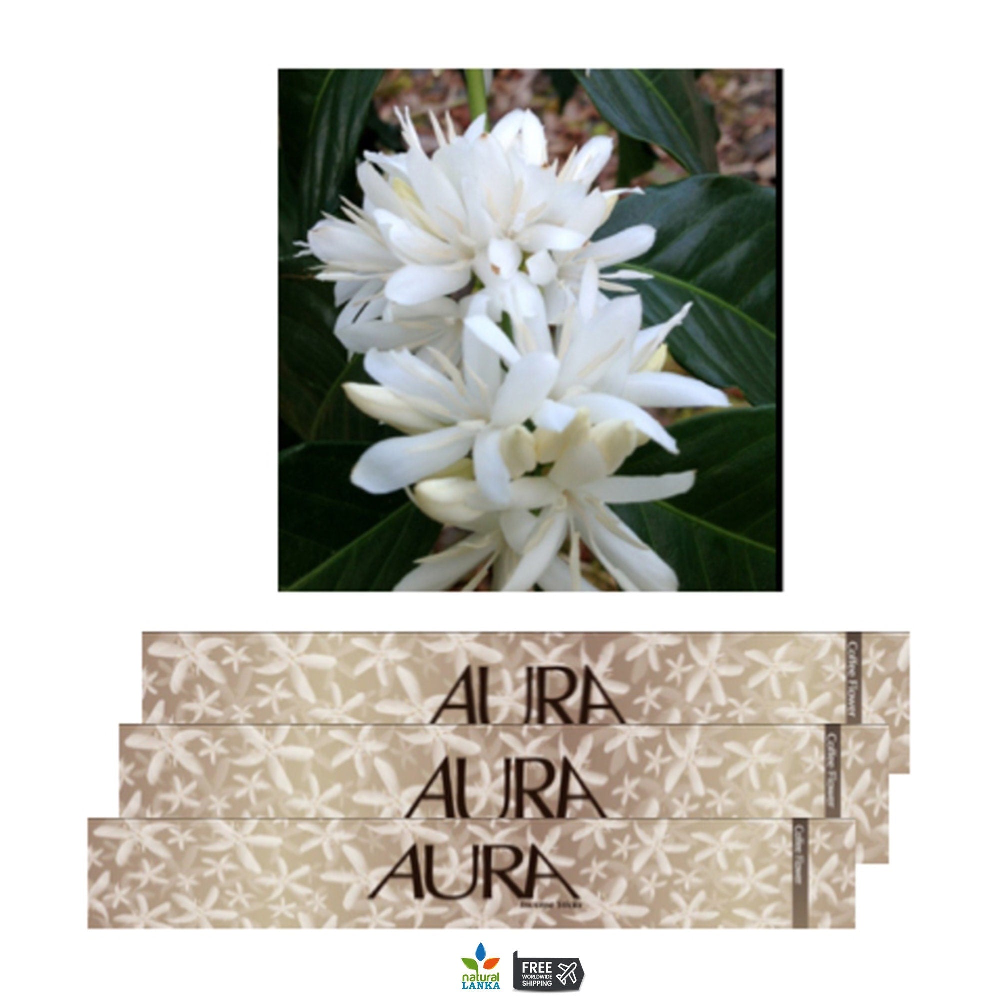 Aura Incense Sticks | Sri Lankan Hand-Rolled, Natural Scents (15 Sticks)